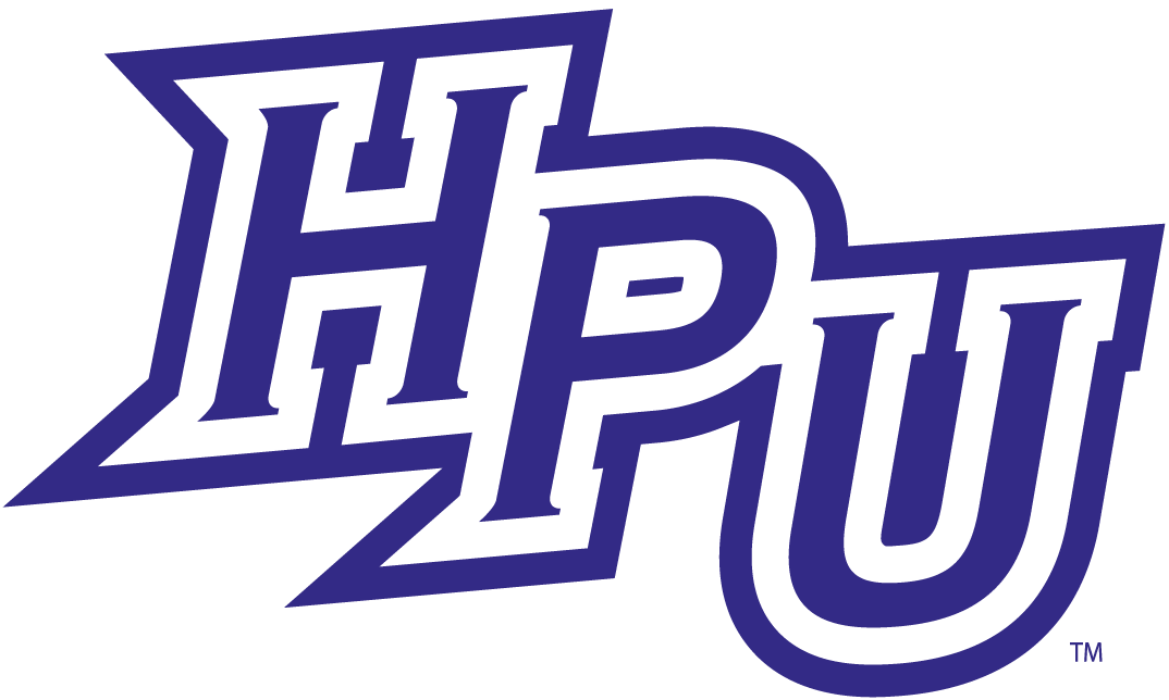 High Point Panthers 2012-Pres Primary Logo diy fabric transfer